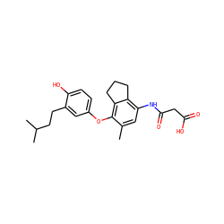 Cc1cc(NC(=O)CC(=O)O)c2c(c1Oc1ccc(O)c(CCC(C)C)c1)CCC2 ZINC000095598317