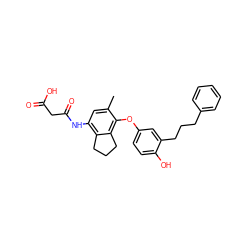 Cc1cc(NC(=O)CC(=O)O)c2c(c1Oc1ccc(O)c(CCCc3ccccc3)c1)CCC2 ZINC000095598357