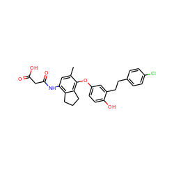 Cc1cc(NC(=O)CC(=O)O)c2c(c1Oc1ccc(O)c(CCc3ccc(Cl)cc3)c1)CCC2 ZINC000095597580