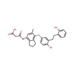 Cc1cc(NC(=O)CC(=O)O)c2c(c1Oc1ccc(O)c(CCc3ccccc3O)c1)CCC2 ZINC000038480906