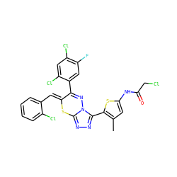 Cc1cc(NC(=O)CCl)sc1-c1nnc2n1N=C(c1cc(F)c(Cl)cc1Cl)/C(=C/c1ccccc1Cl)S2 ZINC000028823779