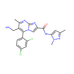 Cc1cc(NC(=O)c2cn3c(-c4ccc(Cl)cc4Cl)c(CN)c(C)nc3n2)n(C)n1 ZINC000058592621
