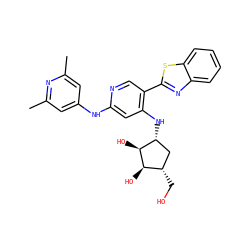 Cc1cc(Nc2cc(N[C@@H]3C[C@H](CO)[C@@H](O)[C@H]3O)c(-c3nc4ccccc4s3)cn2)cc(C)n1 ZINC000207442974