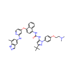 Cc1cc(Nc2cc(Oc3ccc(NC(=O)Nc4cc(C(C)(C)C)nn4-c4ccc(OCCN(C)C)cc4)c4ccccc34)ccn2)cc2cn[nH]c12 ZINC001772651548