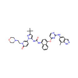 Cc1cc(Nc2nccc(Oc3ccc(NC(=O)Nc4cc(C(C)(C)C)nn4-c4ccc(=O)n(CCN5CCOCC5)c4)c4ccccc34)n2)cc2cn[nH]c12 ZINC000211101541