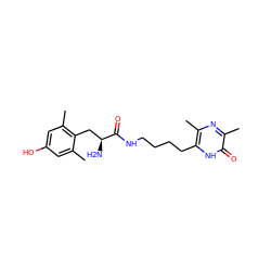 Cc1cc(O)cc(C)c1C[C@H](N)C(=O)NCCCCc1[nH]c(=O)c(C)nc1C ZINC000028825450