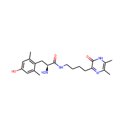 Cc1cc(O)cc(C)c1C[C@H](N)C(=O)NCCCCc1nc(C)c(C)[nH]c1=O ZINC000096902095