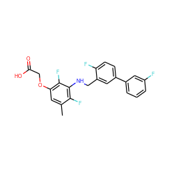 Cc1cc(OCC(=O)O)c(F)c(NCc2cc(-c3cccc(F)c3)ccc2F)c1F ZINC000218890393