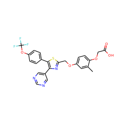 Cc1cc(OCc2nc(-c3cncnc3)c(-c3ccc(OC(F)(F)F)cc3)s2)ccc1OCC(=O)O ZINC000049021949