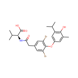 Cc1cc(Oc2c(Br)cc(CC(=O)N[C@H](C(=O)O)C(C)C)cc2Br)cc(C(C)C)c1O ZINC000014969123