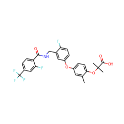 Cc1cc(Oc2ccc(F)c(CNC(=O)c3ccc(C(F)(F)F)cc3F)c2)ccc1OC(C)(C)C(=O)O ZINC000028825477