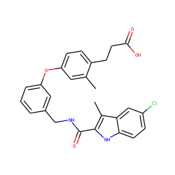 Cc1cc(Oc2cccc(CNC(=O)c3[nH]c4ccc(Cl)cc4c3C)c2)ccc1CCC(=O)O ZINC000028825488