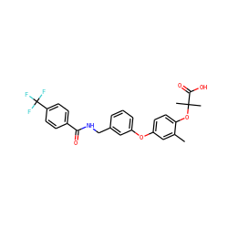 Cc1cc(Oc2cccc(CNC(=O)c3ccc(C(F)(F)F)cc3)c2)ccc1OC(C)(C)C(=O)O ZINC000028825459