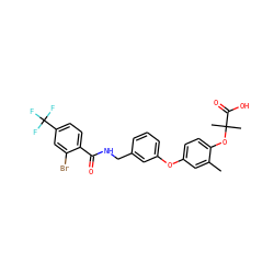 Cc1cc(Oc2cccc(CNC(=O)c3ccc(C(F)(F)F)cc3Br)c2)ccc1OC(C)(C)C(=O)O ZINC000028825464