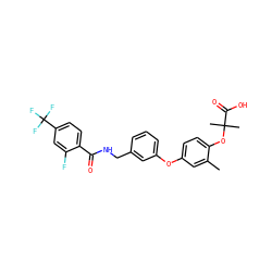 Cc1cc(Oc2cccc(CNC(=O)c3ccc(C(F)(F)F)cc3F)c2)ccc1OC(C)(C)C(=O)O ZINC000028825463