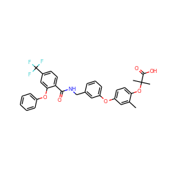 Cc1cc(Oc2cccc(CNC(=O)c3ccc(C(F)(F)F)cc3Oc3ccccc3)c2)ccc1OC(C)(C)C(=O)O ZINC000028825466