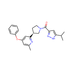 Cc1cc(Oc2ccccc2)cc([C@H]2CCN(C(=O)c3cc(C(C)C)[nH]n3)C2)n1 ZINC001772627653