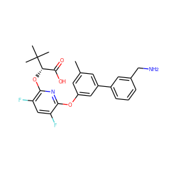 Cc1cc(Oc2nc(O[C@@H](C(=O)O)C(C)(C)C)c(F)cc2F)cc(-c2cccc(CN)c2)c1 ZINC000205208992