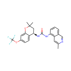 Cc1cc2c(NC(=O)N[C@@H]3CC(C)(C)Oc4cc(OC(F)(F)F)ccc43)cccc2cn1 ZINC000118629723