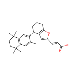 Cc1cc2c(cc1[C@@H]1CCCc3oc(/C=C/C(=O)O)cc31)C(C)(C)CCC2(C)C ZINC000013560355