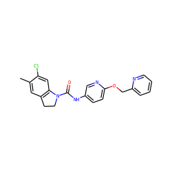 Cc1cc2c(cc1Cl)N(C(=O)Nc1ccc(OCc3ccccn3)nc1)CC2 ZINC000029552146