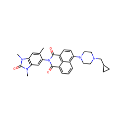 Cc1cc2c(cc1N1C(=O)c3cccc4c(N5CCN(CC6CC6)CC5)ccc(c34)C1=O)n(C)c(=O)n2C ZINC001772653971