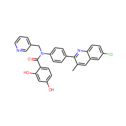 Cc1cc2cc(Cl)ccc2nc1-c1ccc(N(Cc2cccnc2)C(=O)c2ccc(O)cc2O)cc1 ZINC000653747974