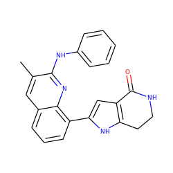 Cc1cc2cccc(-c3cc4c([nH]3)CCNC4=O)c2nc1Nc1ccccc1 ZINC000223408646