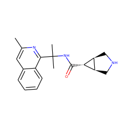 Cc1cc2ccccc2c(C(C)(C)NC(=O)[C@@H]2[C@H]3CNC[C@H]32)n1 ZINC000299858721