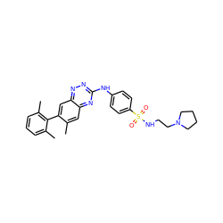 Cc1cc2nc(Nc3ccc(S(=O)(=O)NCCN4CCCC4)cc3)nnc2cc1-c1c(C)cccc1C ZINC000028702799