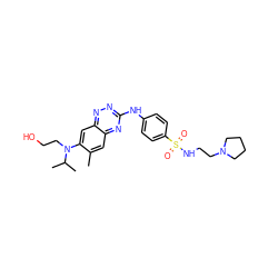 Cc1cc2nc(Nc3ccc(S(=O)(=O)NCCN4CCCC4)cc3)nnc2cc1N(CCO)C(C)C ZINC000096167793