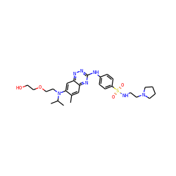 Cc1cc2nc(Nc3ccc(S(=O)(=O)NCCN4CCCC4)cc3)nnc2cc1N(CCOCCO)C(C)C ZINC000096167792