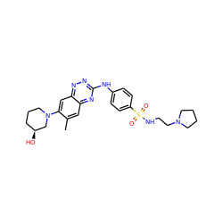 Cc1cc2nc(Nc3ccc(S(=O)(=O)NCCN4CCCC4)cc3)nnc2cc1N1CCC[C@H](O)C1 ZINC000096167795