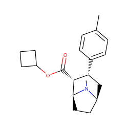 Cc1ccc([C@@H]2C[C@H]3CC[C@@H]([C@@H]2C(=O)OC2CCC2)N3C)cc1 ZINC000036271098