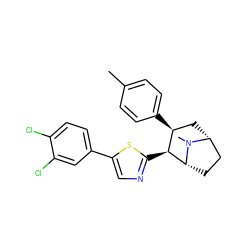 Cc1ccc([C@H]2C[C@@H]3CC[C@H]([C@H]2c2ncc(-c4ccc(Cl)c(Cl)c4)s2)N3C)cc1 ZINC000014978627