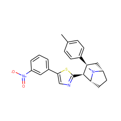 Cc1ccc([C@H]2C[C@@H]3CC[C@H]([C@H]2c2ncc(-c4cccc([N+](=O)[O-])c4)s2)N3C)cc1 ZINC000014978621