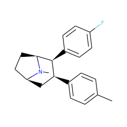 Cc1ccc([C@H]2C[C@H]3CC[C@@H]([C@H]2c2ccc(F)cc2)N3C)cc1 ZINC000034658025