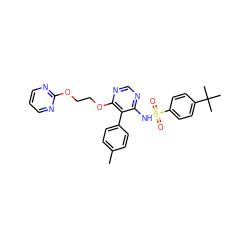 Cc1ccc(-c2c(NS(=O)(=O)c3ccc(C(C)(C)C)cc3)ncnc2OCCOc2ncccn2)cc1 ZINC000013864286