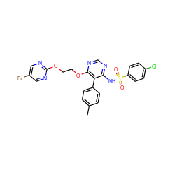 Cc1ccc(-c2c(NS(=O)(=O)c3ccc(Cl)cc3)ncnc2OCCOc2ncc(Br)cn2)cc1 ZINC000028105493