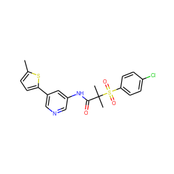 Cc1ccc(-c2cncc(NC(=O)C(C)(C)S(=O)(=O)c3ccc(Cl)cc3)c2)s1 ZINC000040878180