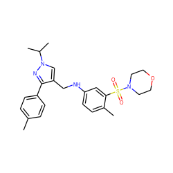 Cc1ccc(-c2nn(C(C)C)cc2CNc2ccc(C)c(S(=O)(=O)N3CCOCC3)c2)cc1 ZINC000169343957