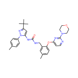 Cc1ccc(-n2nc(C(C)(C)C)cc2NC(=O)NCc2cc(C)ccc2Oc2ccnc(N3CCOCC3)n2)cc1 ZINC000084687694