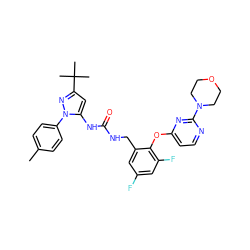 Cc1ccc(-n2nc(C(C)(C)C)cc2NC(=O)NCc2cc(F)cc(F)c2Oc2ccnc(N3CCOCC3)n2)cc1 ZINC000084687696