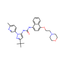 Cc1ccc(-n2nc(C(C)(C)C)cc2NC(=O)Nc2ccc(OCCN3CCOCC3)c3ccccc23)cn1 ZINC000026830334