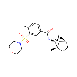 Cc1ccc(C(=O)N[C@H]2C[C@H]3CC[C@@]2(C)C3(C)C)cc1S(=O)(=O)N1CCOCC1 ZINC000101133140