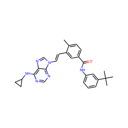 Cc1ccc(C(=O)Nc2cccc(C(C)(C)C)c2)cc1/C=C/n1cnc2c(NC3CC3)ncnc21 ZINC000043077245