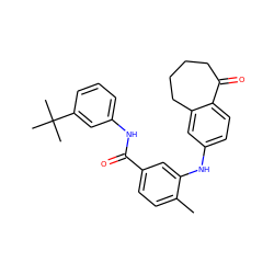 Cc1ccc(C(=O)Nc2cccc(C(C)(C)C)c2)cc1Nc1ccc2c(c1)CCCCC2=O ZINC000095576313