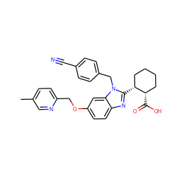 Cc1ccc(COc2ccc3nc([C@@H]4CCCC[C@@H]4C(=O)O)n(Cc4ccc(C#N)cc4)c3c2)nc1 ZINC000221567707