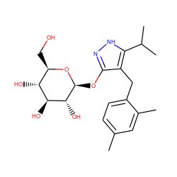 Cc1ccc(Cc2c(O[C@@H]3O[C@H](CO)[C@@H](O)[C@H](O)[C@H]3O)n[nH]c2C(C)C)c(C)c1 ZINC000095572048