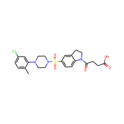 Cc1ccc(Cl)cc1N1CCN(S(=O)(=O)c2ccc3c(c2)CCN3C(=O)CCC(=O)O)CC1 ZINC000118521603